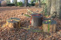 Land-Art im Kloster Arenberg