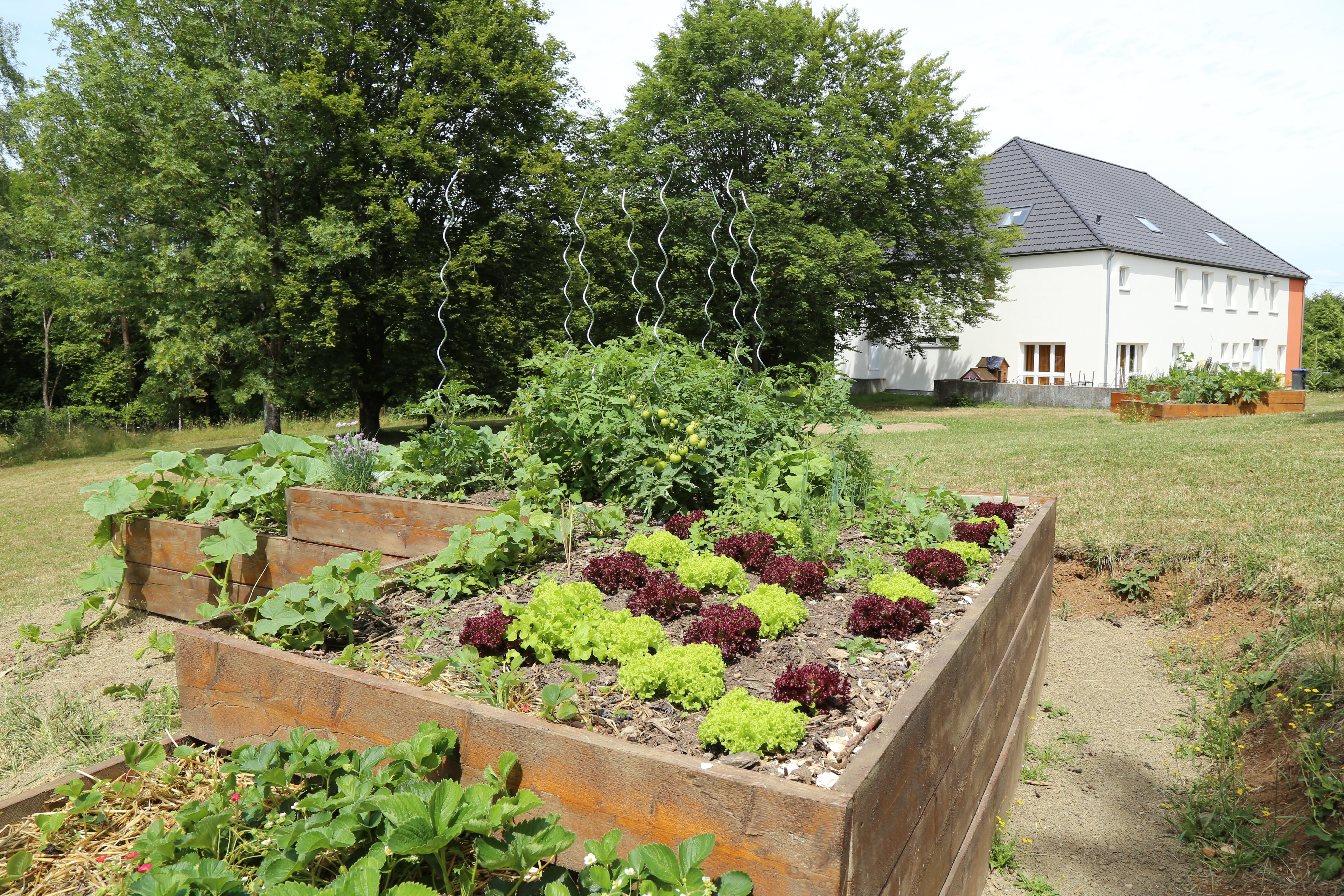 22+ neu Foto Haus Auf Dem Wehrborn - Einzelansicht : Hier kannst du ein pdf im dina4 format erstellen, einseitig bedruckt und angepasst auf deine einrichtung: